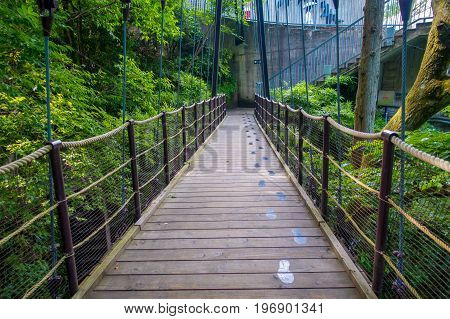 HAKONE, JAPAN - JULY 02, 2017: Beautiful bridge at Hakone open air museum in Japan.