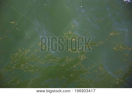 sea or ochean water texture with waves