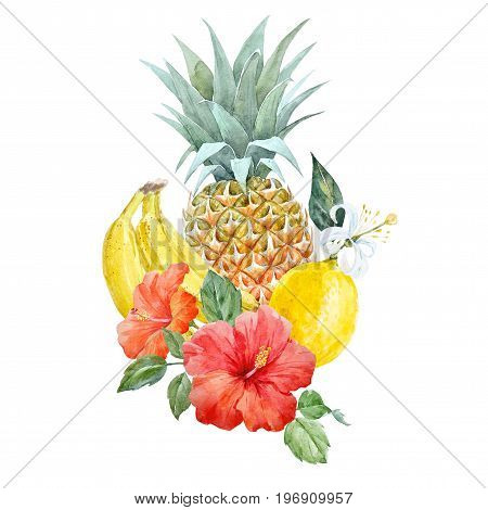 Beautiful illustration with hand drawn watercolor pineapple fruit
