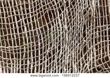 Detail photo of an old mesh (geogrid) for stabilizing slopes and soil.