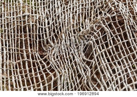 Detail photo of an old mesh (geogrid) for stabilizing slopes and soil.