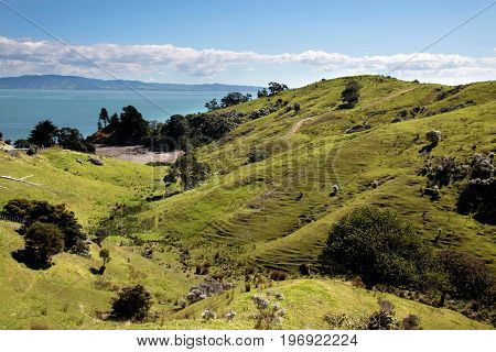 Meadows And Hills On The Coromandel Peninsula