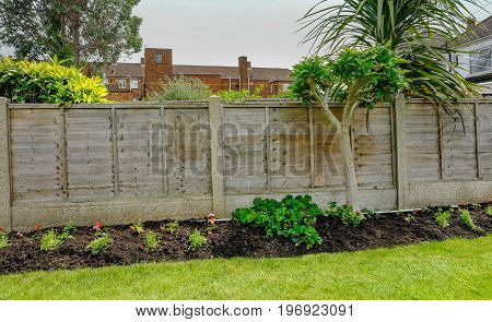 Flower bed in the back-garden with a fence behind the plants. Early sumer shot with samll bedding plants and strawberry plant.