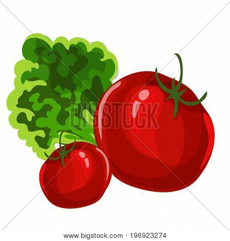 Tomatoes. Vector For Food Decor. Web site page and mobile app design element.