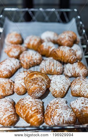 Sfogliatelle Pastry Display In Bakery With Powdered Sugar Macro Closeup Showing Texture