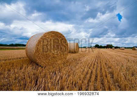 A large straw bale after the harvest of wheat