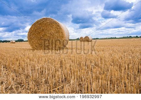 A large straw bale after the harvest of wheat