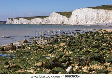 A view of the beautiful Seven Sisters chalk cliffs in East Sussex UK.