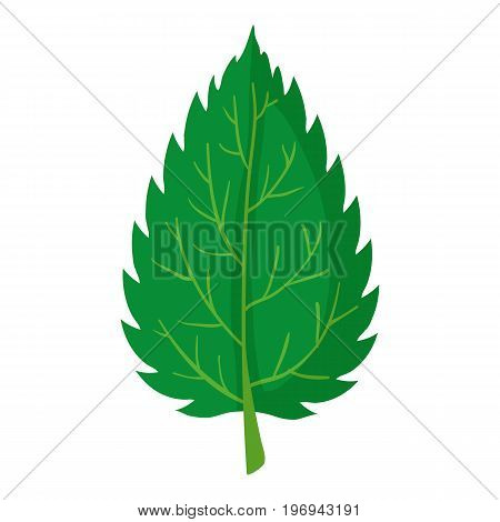 Nettle leaf icon. Cartoon illustration of nettle leaf vector icon for web on white background