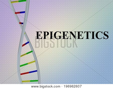 Epigenetics - Genetic Concept
