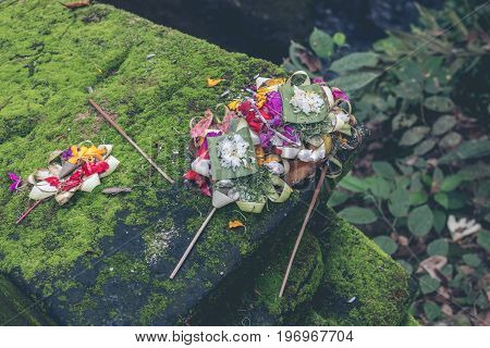 Traditional balinese offerings to gods in Bali with flowers and aromatic sticks. Bali.