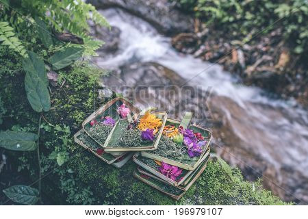Traditional balinese offerings to gods in Bali with flowers and aromatic sticks. Bali.