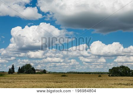 White Fluffy Cummulus Clouds
