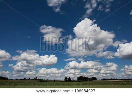 Bright Sunny Day