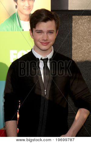 LOS ANGELES - JUL 27: Chris Colfer ankommer på Fox's 