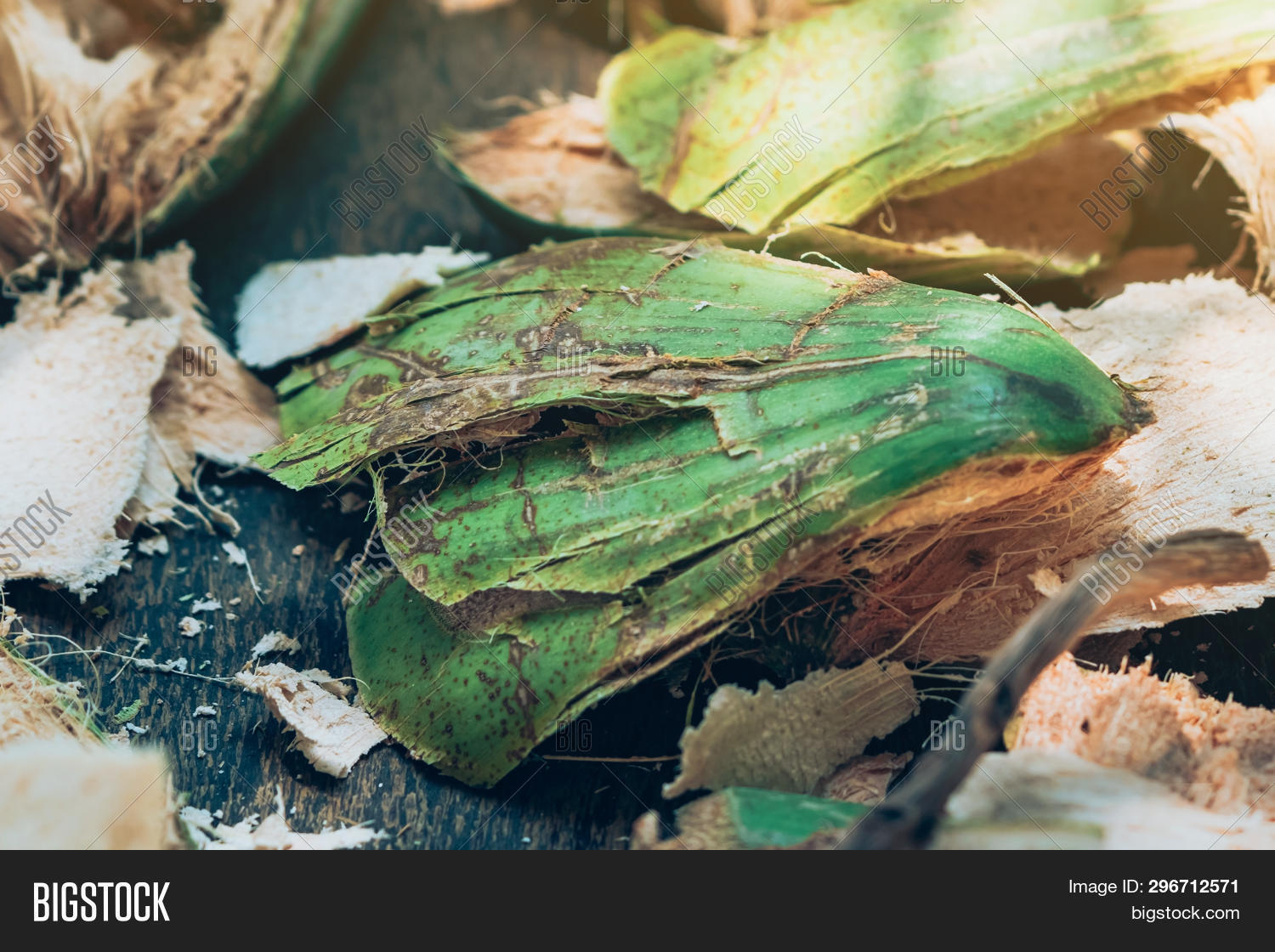 Close Coconut Peel On Image & Photo (Free Trial) | Bigstock