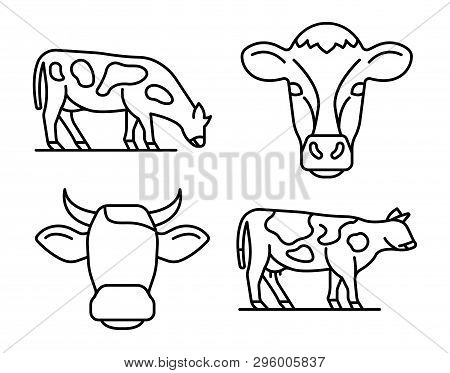 Cow Icons Set. Outline Set Of Cow Vector Icons For Web Design Isolated On White Background