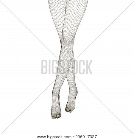 Wireframe Of Slender Crossed Female Legs. Front View. Polygonal Female Legs 3d. Vector Illustration