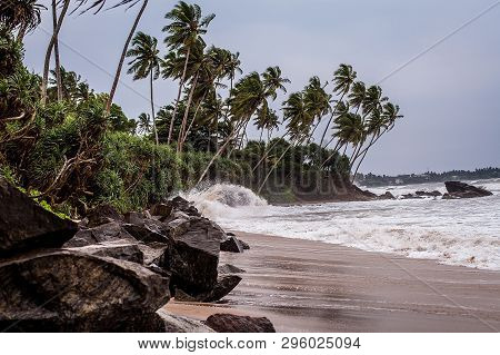 A Small Storm On The Rocky Beach Of Sri Lanka. Waves On The Wild Beach. Palm Grove On The Indian Oce