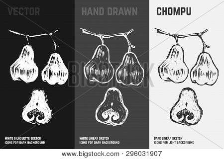 Hand Drawn Chompu Or Apple Rose Icons Set Isolated On White, Gray And Black Chalk Background. Sketch