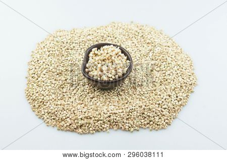 Sprouts of green buckwheat on white background. Macro shot raw organic buckwheat plant. Vegan germinated sprouts, vegetarian cuisine. Healthy diet buckwheat porridge food. 