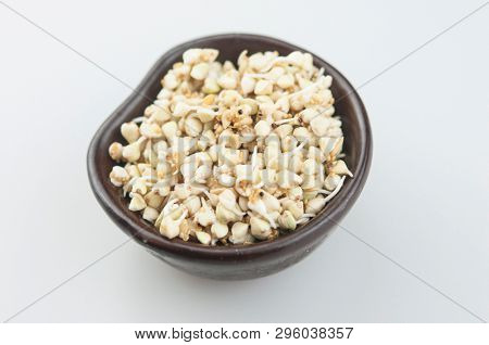 Sprouts of green buckwheat on white background. Macro shot raw organic buckwheat plant. Vegan germinated sprouts, vegetarian cuisine. Healthy diet buckwheat porridge food. 