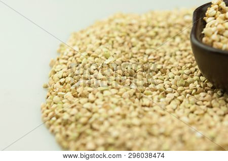 Sprouts of green buckwheat on white background. Macro shot raw organic buckwheat plant. Vegan germinated sprouts, vegetarian cuisine. Healthy diet buckwheat porridge food. 