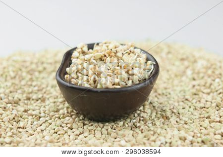 Sprouts of green buckwheat on white background. Macro shot raw organic buckwheat plant. Vegan germinated sprouts, vegetarian cuisine. Healthy diet buckwheat porridge food. 