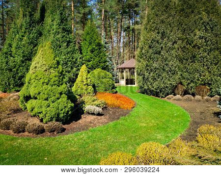 Beautiful Landscaped Garden With Conifers And Bower
