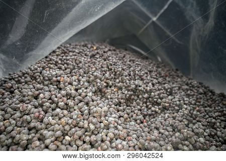 Inside The Bag Full Of Poppy Seeds. Macro Shot Of Dried Pile Of Poppy Seeds In A Plastic Bag