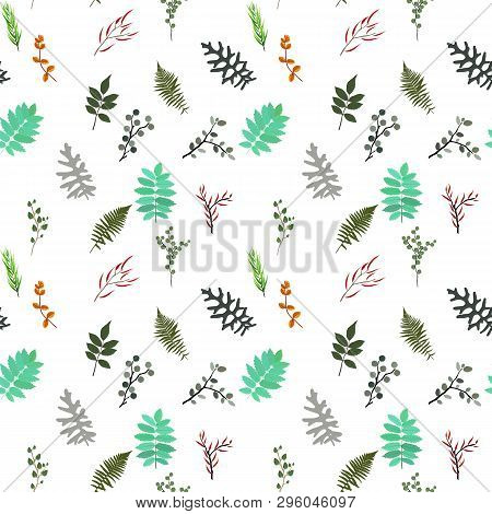 Tropical Elements: Agonis, Eucalyptus, Annona, Balata, Zamiokulkas, Cissus. Seamless Pattern.  Illus