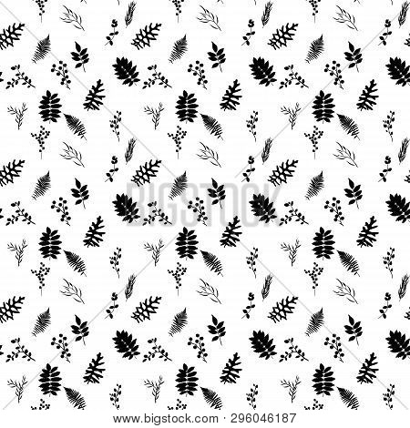 Tropical Elements: Agonis, Eucalyptus, Annona, Balata, Zamiokulkas, Cissus. Seamless Pattern.  Illus