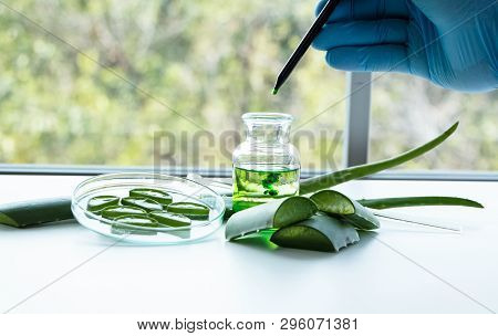 The Scentist Dropping Nature Organic Extract Lipuid In To Glass Bottle,aromatic Essential Research I