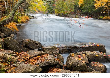 Huge Boulders And Colorful Fall Forest On A Riverside Of Oxtongue River, Muskoka, Canada