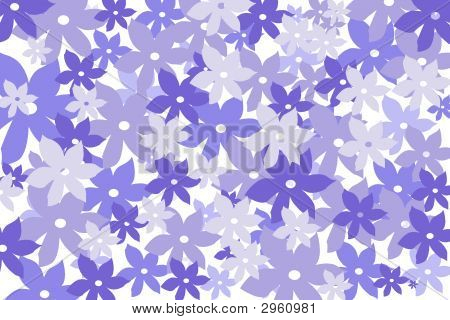 Fleurs Purpul