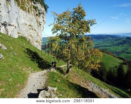 Äscher Cliff Or Äscher-felsen (aescher-felsen Or Ascher-felsen) In The Alpstein Mountain Range And I