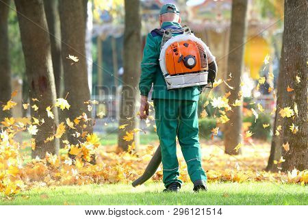 Working In The Park Removes Leaves With A Blower