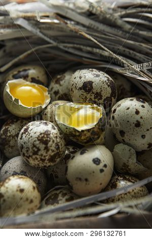 Quail Eggs. Flat Lay Composition With Small Quail Eggs On The Natural Wooden Background. One Broken