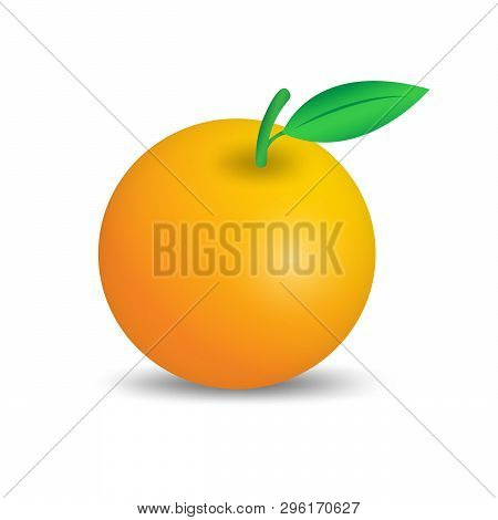 Orange Fruit Vector, Web Icon, Sign, Design Elements For Business
