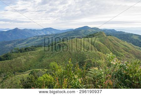 Phu Langka Mountain National Park View Point With Tree Foreground. Phu Langka Mountain National Park