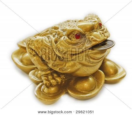 จีน Feng Shui โชคดีเงินคางคก