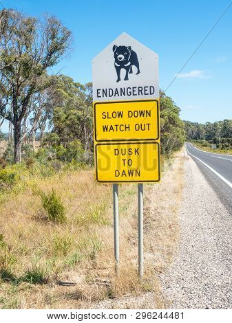 A Tasmanian Devil Signboard Next To The B82 Road In Northern Tasmania, Australia.