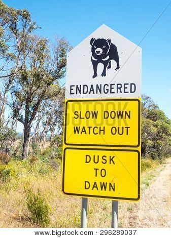 A Tasmanian Devil Signboard Next To The B82 Road In Northern Tasmania, Australia.