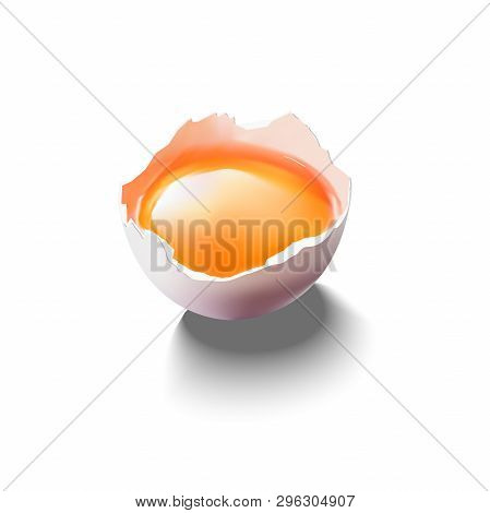 Vector Illustration Of Raw Broken Egg. Raw Egg Yolk In The Shell.