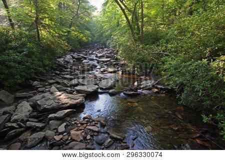 Trailside Creek In The Great Smoky Mountains National Park, Tennessee, In Early Summer.