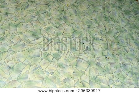 The Texture Of The Old Very Beautiful Green Linoleum
