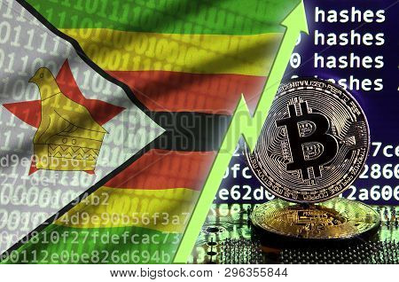 Zimbabwe Flag And Rising Green Arrow On Bitcoin Mining Screen And Two Physical Golden Bitcoins