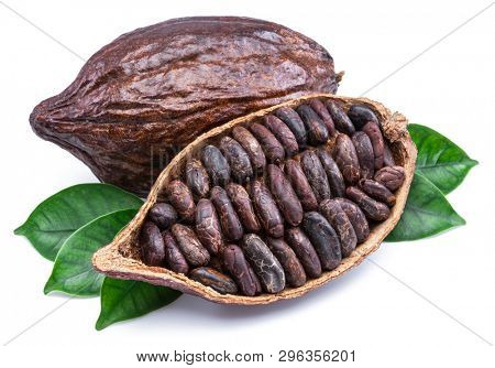 Cocoa pods and cocoa beans - chocolate basis isolated on a white background.