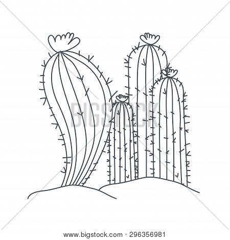 Cactus In Landscape Isolated Icon Vector Illustration Design