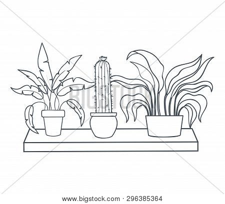Houseplants With Potted On Shelf Isolated Icon Vector Illustration Design